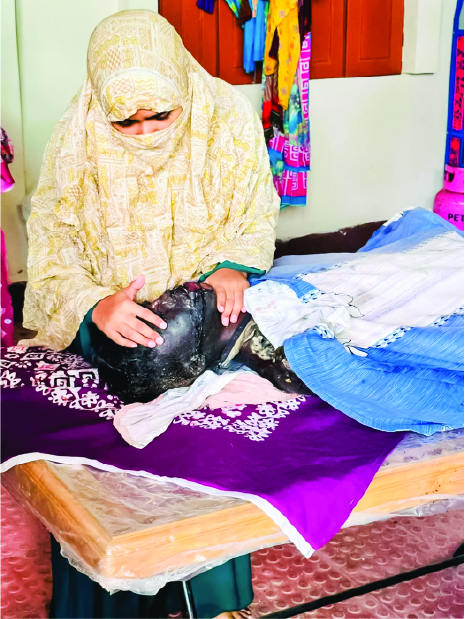 Image of মিকদাদ হোসাইন খান (আকিব)